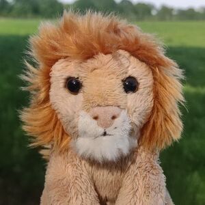 Sultan of Roarborne on 10 May 2026 Square.jpg