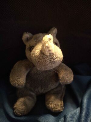 Neushoorntje Official Portrait 2025.jpg