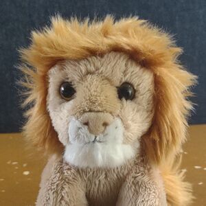 Sultan of Roarborne on 2 May 2026 Square.jpg