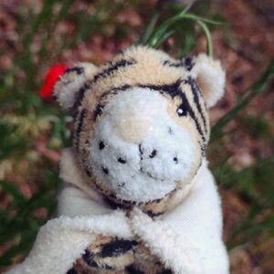 Marlon Starstripe on 6 May 2026 Square.jpg