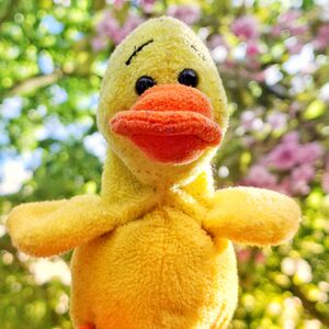 Duckie Quackers on 19 April 2026 Square.jpg