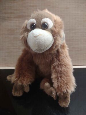 Dribble Official Portrait 2026.jpg