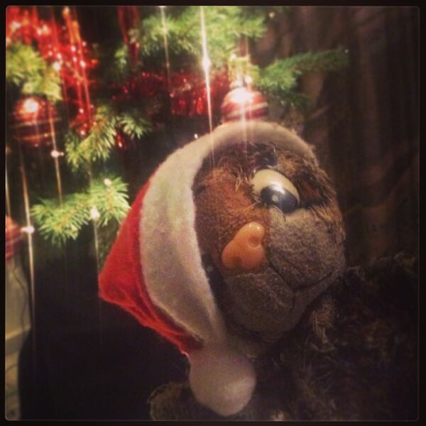 File:Junior Christmas 2013.jpg