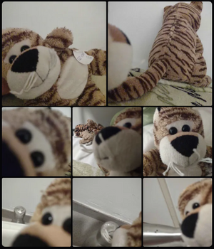 Tigris Crave's vlog on 12 August 2025.png
