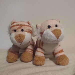 Barker & Fluffy Official Portrait 2025 Square.jpg