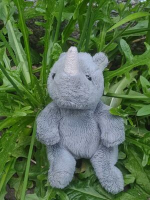 Rhino on 8 May 2026.jpg