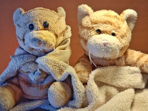 Tijgertje and Tigros Official Portrait 2026.jpg