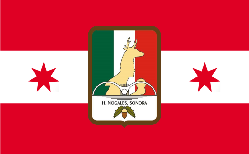 File:Nogales Cartel Flag.png