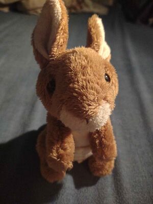 Kangaroe Official Portrait 2025.jpg