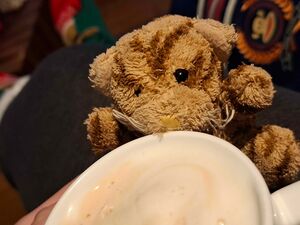 Bebe Official Portrait 2025.jpg