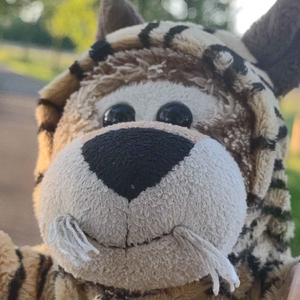 Tigris Crave's vlog on 18 May 2026 v2 Square.png