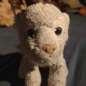 Siberius I Official Portrait 2025 Square.jpg