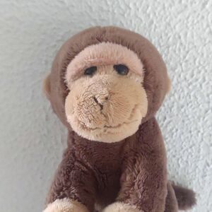 Kong on 8 May 2026 Square.jpg
