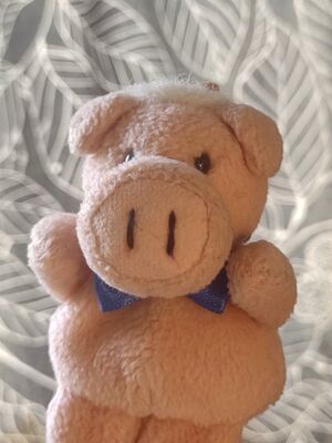 Piggy of Pigget