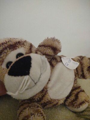 Tigris Crave's vlog on 12 August 2025 v1.jpg