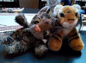 Junior Purr and Tijger on 13 September 2015.jpg