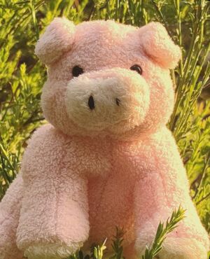 Milos of Pigget on 1 June 2026 Cropped.jpg