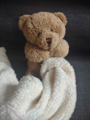 Berend Official Portrait 2025.jpg