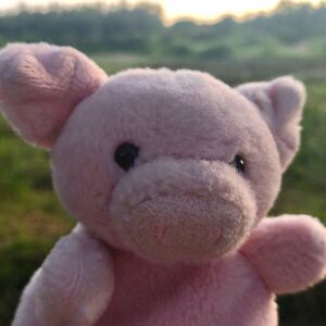 Turbo on 24 May 2026 Square.jpg