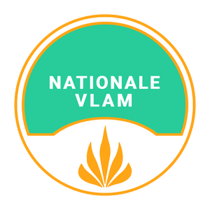 National Flame Logo Square.png