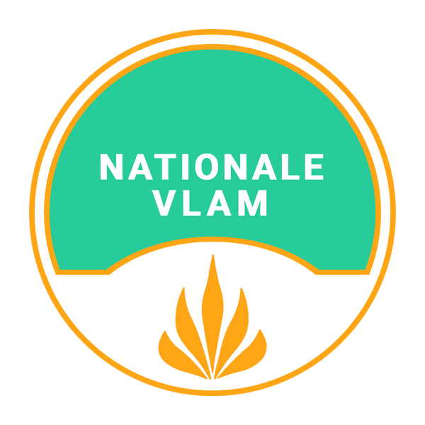 File:National Flame Logo Square.png