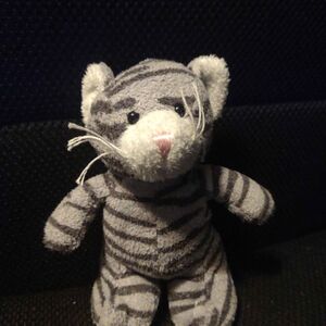 Kelgrish of Ashai Official Portrait 2025 Square.jpg