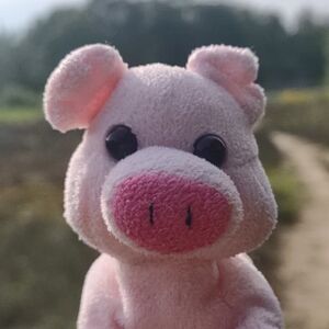 Pinxie on 10 May 2026 Square.jpg