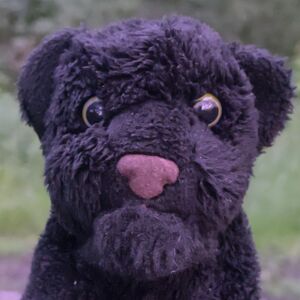 Barron on 14 May 2026 Square.jpg