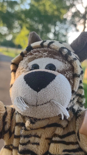 Tigris Crave's vlog on 18 May 2026 v2.png