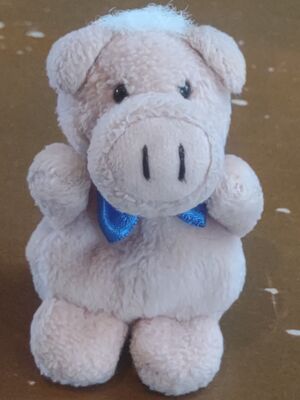 Piggy of Pigget