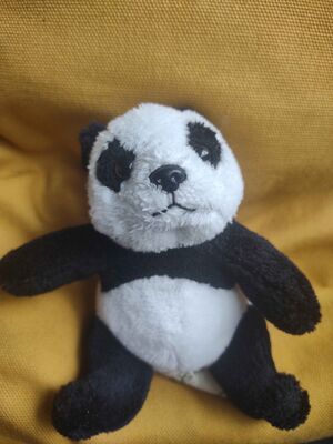 Pandaatje Official Portrait 2025.jpg