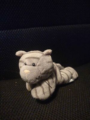 Richy Official Portrait 2025.jpg